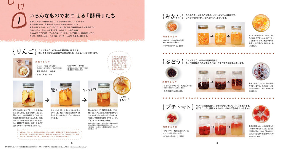 いろんなものでおこせる『酵母』たち