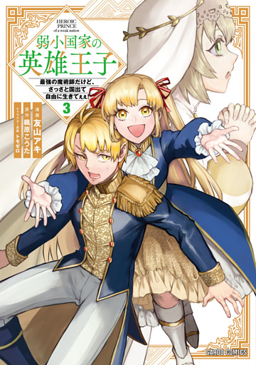 弱小国家の英雄王子 3　～最強の魔術師だけど、さっさと国出て自由に生きてぇぇ！～