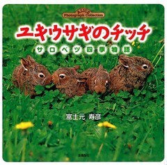 ユキウサギのチッチ サロベツ四季物語(Alice photograh collection)