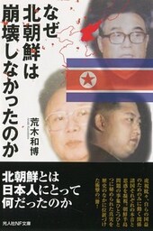 なぜ北朝鮮は崩壊しなかったのか　日本の鏡としての北朝鮮