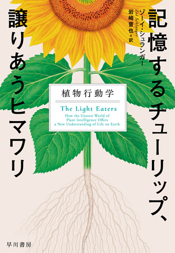 記憶するチューリップ、譲りあうヒマワリ