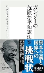 ガンジーの危険な平和憲法案