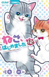 ねこ、はじめました（１２）