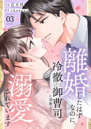 離婚したはずなのに、冷徹エリート御曹司に容赦なく溺愛されています【電子単行本版】３
