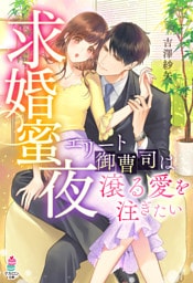 【dブック限定SS付き】求婚蜜夜～エリート御曹司は滾る愛を注ぎたい～