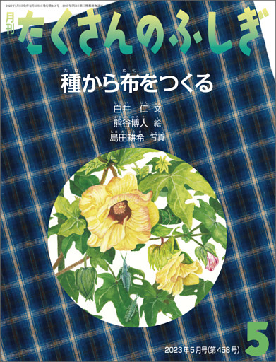 種から布をつくる（たくさんのふしぎ2023年5月号）