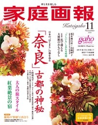 家庭画報 2026年11月号