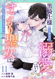 Berry’sFantasy黒騎士様から全力で溺愛されていますが、すごもり聖女は今日も引きこもりたい！11巻