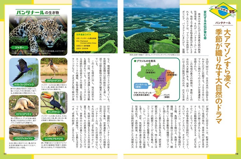 COLUMN⑮ パンタナール 大アマゾンすら凌ぐ 季節が織りなす大自然のドラマ