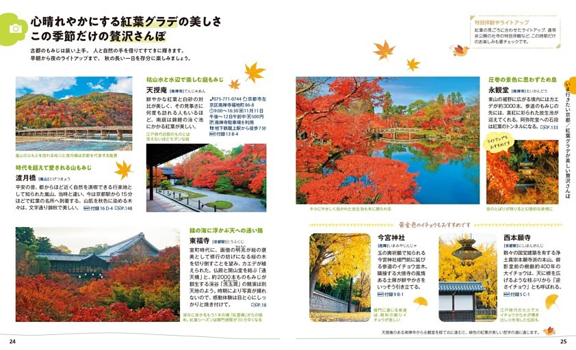 紅葉グラデが美しい贅沢さんぽ