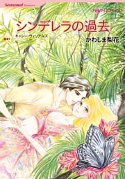 シンデレラの過去【分冊】 12巻