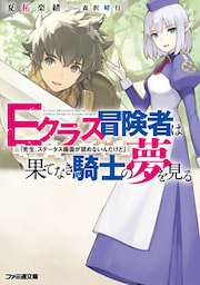 Ｅクラス冒険者は果てなき騎士の夢を見る　「先生、ステータス画面が読めないんだけど」