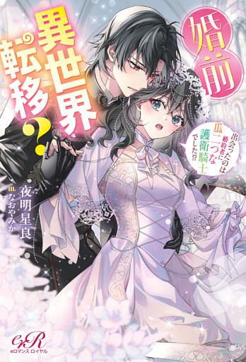 婚前異世界転移？　出会ったのは婚約者に瓜二つな護衛騎士でした！？【電子特別版】