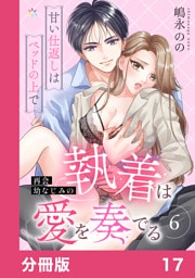 再会幼なじみの執着は愛を奏でる ～甘い仕返しはベッドの上で～【分冊版】17