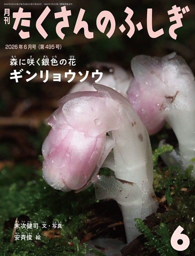 ギンリョウソウ（たくさんのふしぎ2026年6月号）