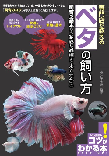 専門店が教える ベタの飼い方 飼育の基本から多彩な品種までよくわかる