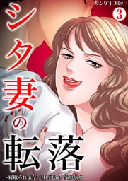 シタ妻の転落～寝取られ依存、社内不倫、家庭崩壊3