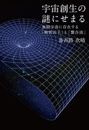 宇宙創生の謎にせまる 無限宇宙に存在する「物質因子」と「繋合波」