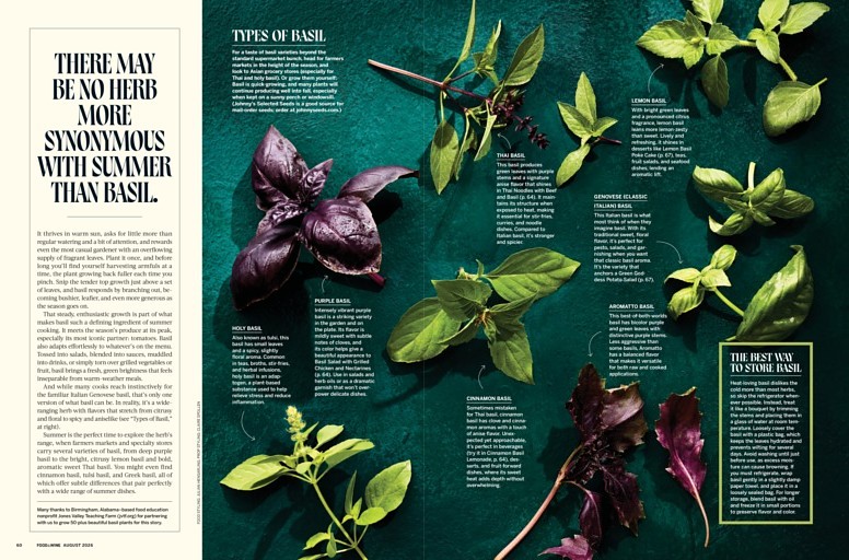The Bounty of Basil
