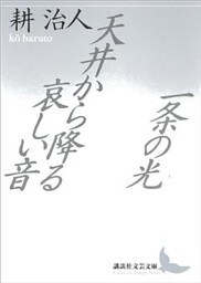 一条の光・天井から降る哀しい音
