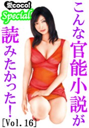 こんな官能小説が読みたかった！vol.16