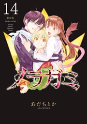 ノラガミ　新装版（１４）