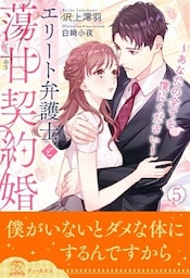 エリート弁護士と蕩甘契約婚～あなたの全てを僕にください～【５】