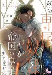 私の専属奴隷が帝国の皇子だったなんて知りません！