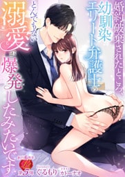 婚約破棄されたところ、幼馴染エリート弁護士のとんでもない溺愛が爆発したみたいです