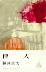佳人