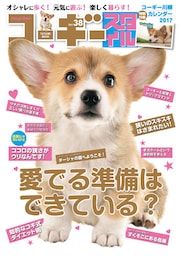 コーギースタイル　Vol.38