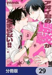 アオイ君の猥談がたまらない！！【分冊版】　29