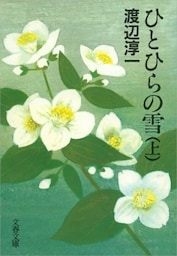 ひとひらの雪（上）