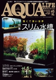 アクアライフ 12月号