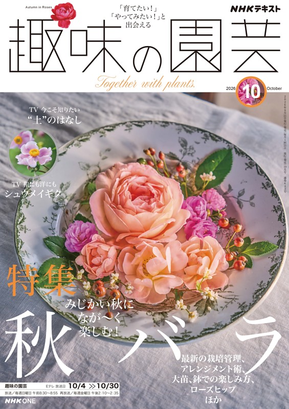 NHK 趣味の園芸 2026年10月号