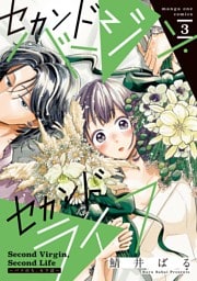 セカンドバージン・セカンドライフ～バツのち、セフ活～（３）