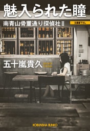 魅入られた瞳～南青山骨董通り探偵社II～