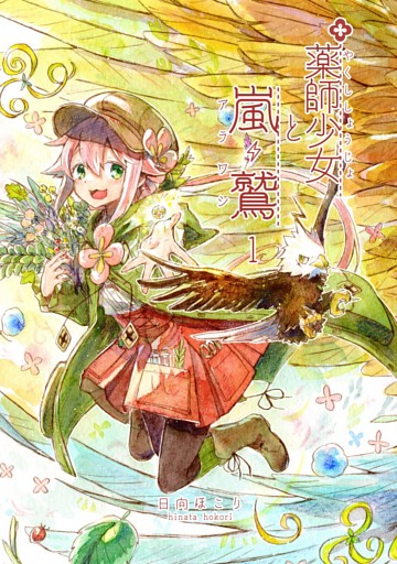 薬師少女と嵐鷲