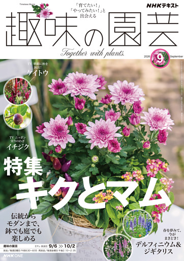 ＮＨＫ 趣味の園芸2026年9月号