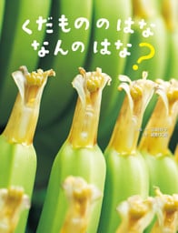 くだもののはな なんのはな？