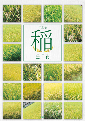 写真集 稲