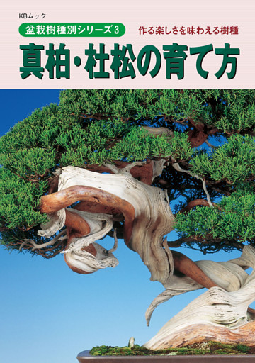 真柏・杜松の育て方