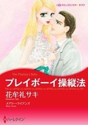 プレイボーイ操縦法【分冊】 4巻