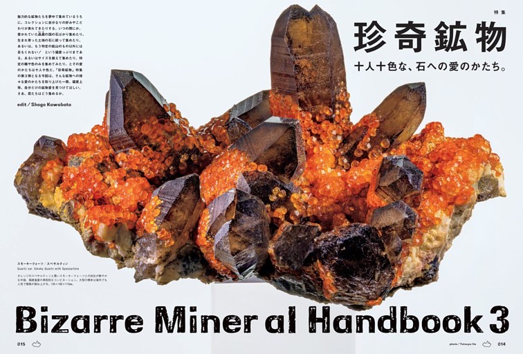 特集　珍奇鉱物　Bizarre Mineral Handbook 3