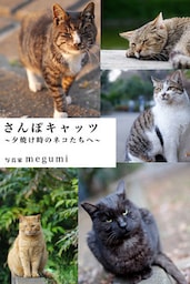 さんぽキャッツ　～夕焼け時のネコたちへ～