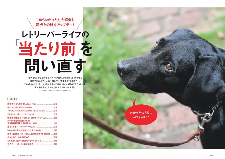 レトリーバーライフの「当たり前」を問い直す