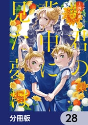 君の背中に見た夢は【分冊版】　28