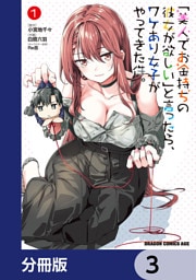 「美人でお金持ちの彼女が欲しい」と言ったら、ワケあり女子がやってきた件。【分冊版】　3