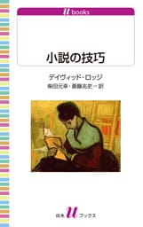 小説の技巧