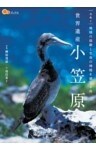 世界遺産 小笠原